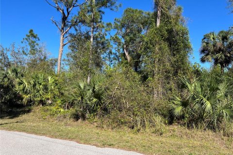 Land in North Port, Florida № 2164955 - photo 6