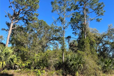 Land in North Port, Florida № 2164955 - photo 10