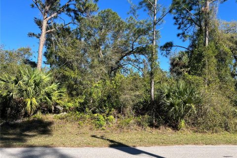 Land in North Port, Florida № 2164955 - photo 5