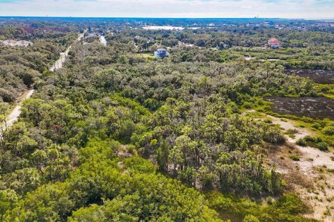 Terreno en venta en Port Richey, Florida № 1625229 - foto 16
