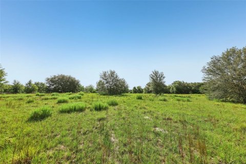 Купить виллу или дом в Вейрсдейл, Флорида 3 комнаты, 253.53м2, № 1721433 - фото 18