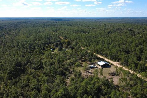 Land in Chipley, Florida № 2393683 - photo 15
