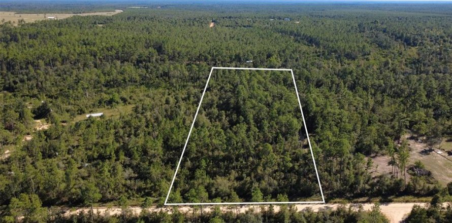 Land in Chipley, Florida № 2393683