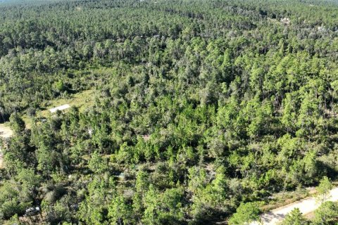 Land in Chipley, Florida № 2393683 - photo 24