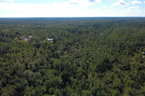 Land in Chipley, Florida № 2393683 - photo 13