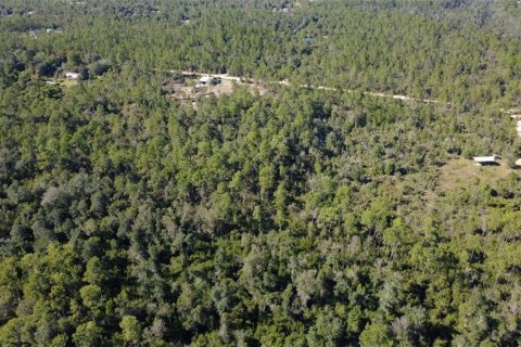 Land in Chipley, Florida № 2393683 - photo 22