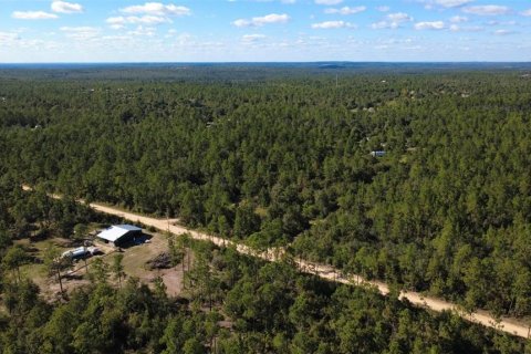 Land in Chipley, Florida № 2393683 - photo 16