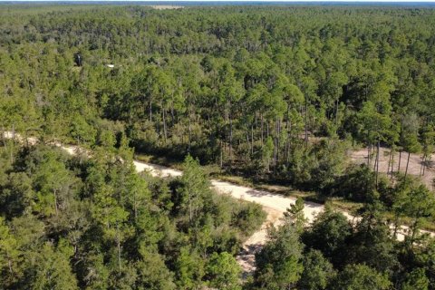 Land in Chipley, Florida № 2393683 - photo 28