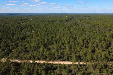 Land in Chipley, Florida № 2393683 - photo 17
