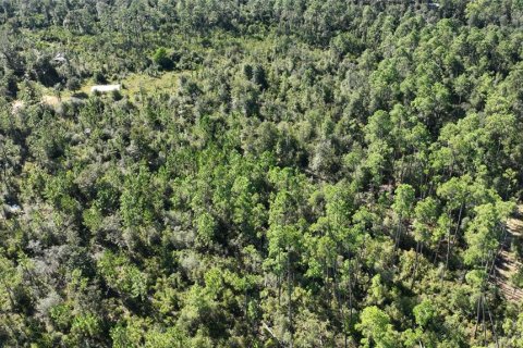 Land in Chipley, Florida № 2393683 - photo 23