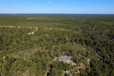 Land in Chipley, Florida № 2393683 - photo 7