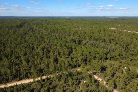 Land in Chipley, Florida № 2393683 - photo 6