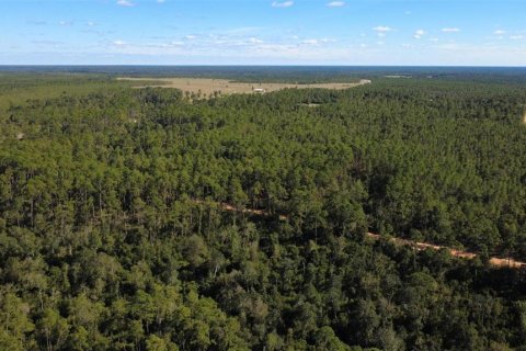 Land in Chipley, Florida № 2393683 - photo 10