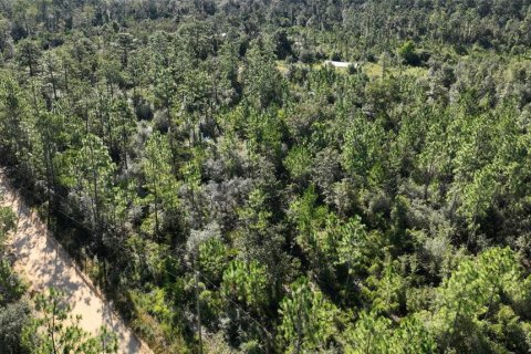 Land in Chipley, Florida № 2393683 - photo 27