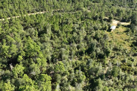 Land in Chipley, Florida № 2393683 - photo 21