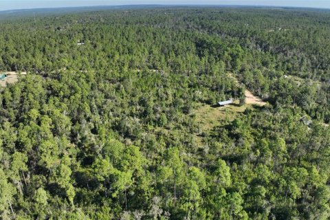 Land in Chipley, Florida № 2393683 - photo 29