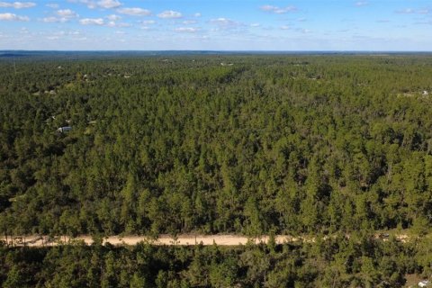 Land in Chipley, Florida № 2393683 - photo 5