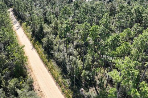 Land in Chipley, Florida № 2393683 - photo 30