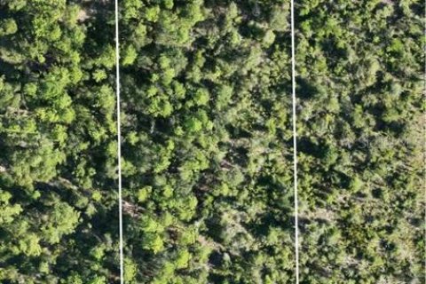 Land in Chipley, Florida № 2393683 - photo 18