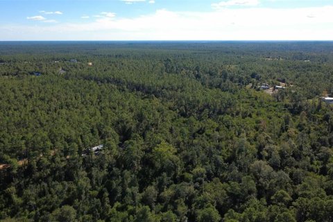 Land in Chipley, Florida № 2393683 - photo 12