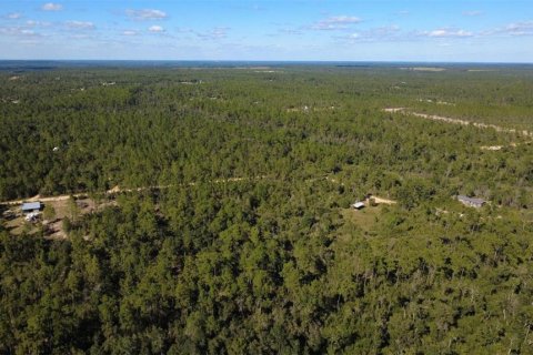 Land in Chipley, Florida № 2393683 - photo 20