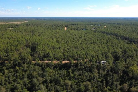 Land in Chipley, Florida № 2393683 - photo 11