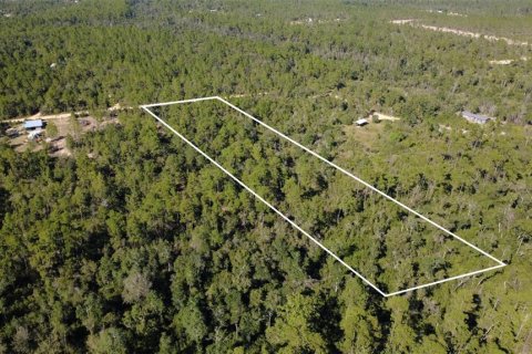Land in Chipley, Florida № 2393683 - photo 4