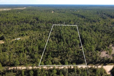 Land in Chipley, Florida № 2393683 - photo 2