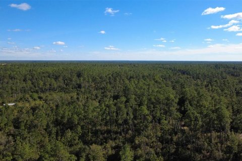 Land in Chipley, Florida № 2393683 - photo 25