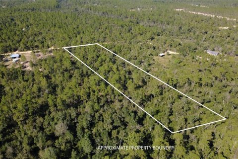 Land in Chipley, Florida № 2393683 - photo 3