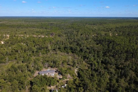 Land in Chipley, Florida № 2393683 - photo 8