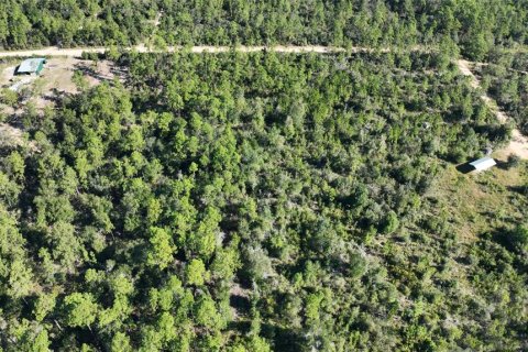 Land in Chipley, Florida № 2393683 - photo 26