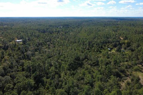 Land in Chipley, Florida № 2393683 - photo 14