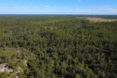 Land in Chipley, Florida № 2393683 - photo 9