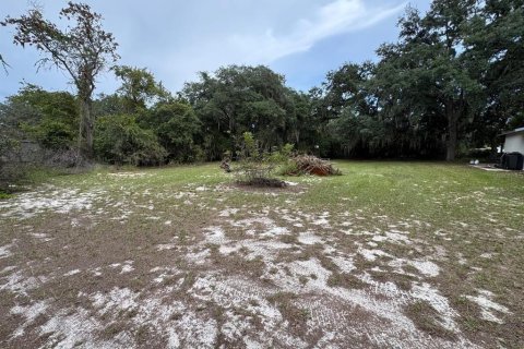House in Astatula, Florida 3 bedrooms, 140.47 sq.m. № 2410494 - photo 4