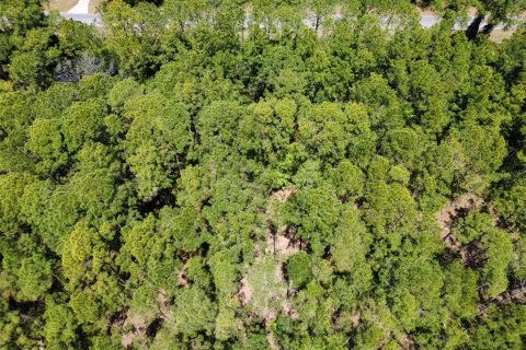 Land in Eustis, Florida № 2099308 - photo 4