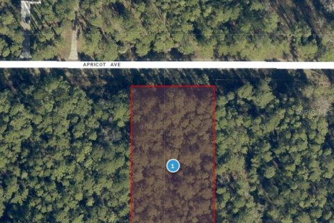 Land in Eustis, Florida № 2099308 - photo 7