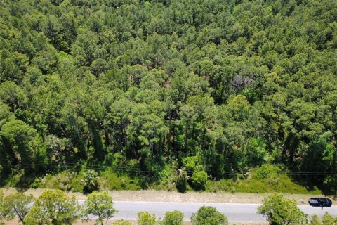Land in Eustis, Florida № 2099308 - photo 5