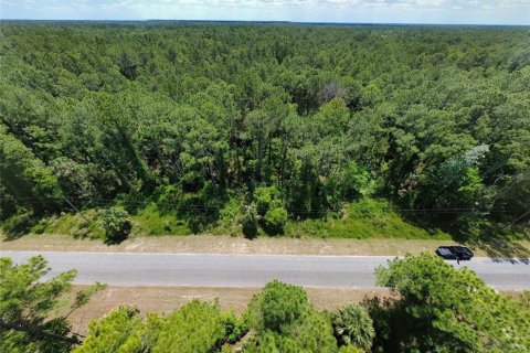Land in Eustis, Florida № 2099308 - photo 6