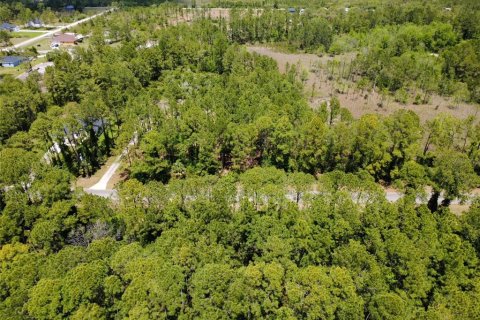 Land in Eustis, Florida № 2099308 - photo 2