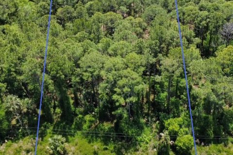 Land in Eustis, Florida № 2099308