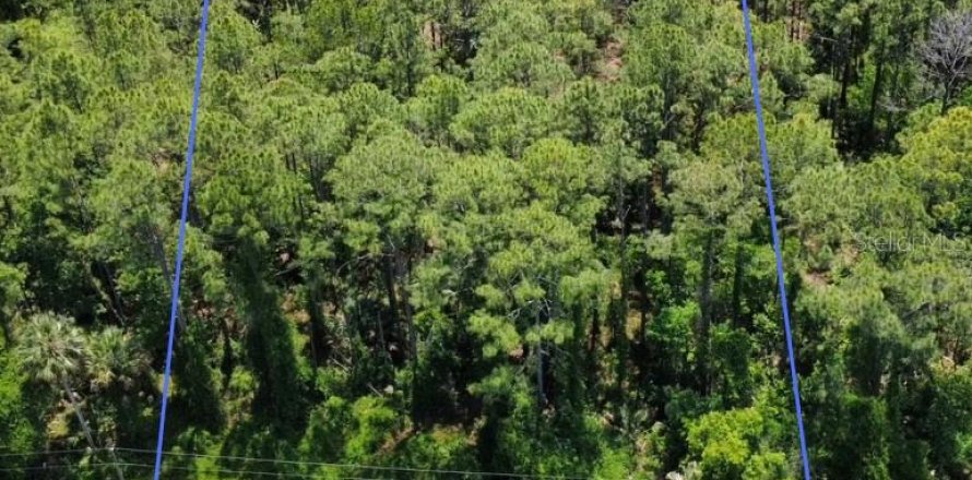 Land in Eustis, Florida № 2099308