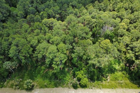 Land in Eustis, Florida № 2099308 - photo 3