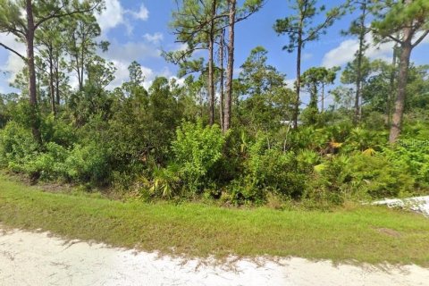 Terreno en venta en Punta Gorda, Florida № 2198960 - foto 2