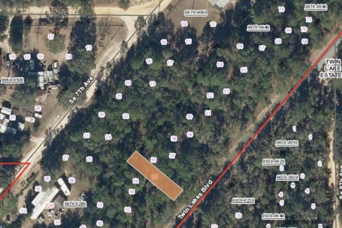 Land in Interlachen, Florida № 2162003