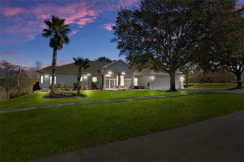 Villa ou maison à vendre à Spring Hill, Floride: 6 chambres, 418.15 m2 № 1523724 - photo 1