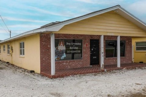 Immobilier commercial à vendre à Largo, Floride: 252.69 m2 № 1724972 - photo 5