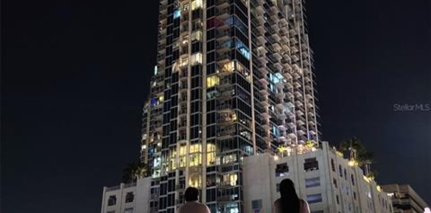 Condo in Tampa, Florida, 1 bedroom  № 1833039