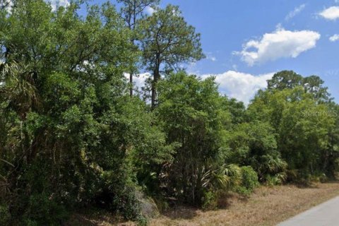 Land in Port Charlotte, Florida № 2162542 - photo 3