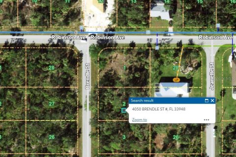 Land in Port Charlotte, Florida № 2162542 - photo 4